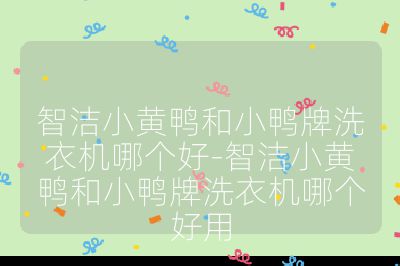 智潔小黃鴨和小鴨牌洗衣機哪個好-智潔小黃鴨和小鴨牌洗衣機哪個好用