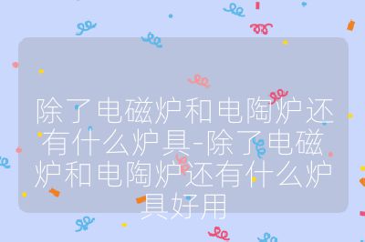 除了電磁爐和電陶爐還有什么爐具-除了電磁爐和電陶爐還有什么爐具好用