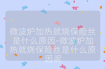 微波爐加熱就燒保險絲是什么原因-微波爐加熱就燒保險絲是什么原因呢