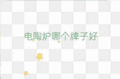 電陶爐哪個(gè)牌子好