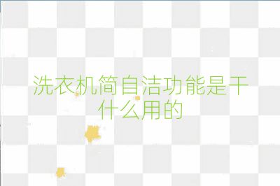 洗衣機簡自潔功能是干什么用的