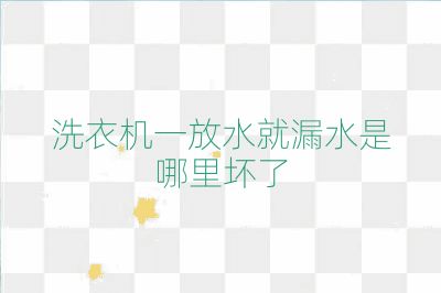 洗衣機一放水就漏水是哪里壞了