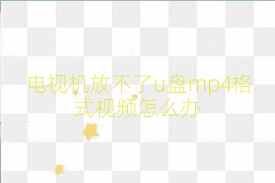 電視機(jī)放不了u盤mp4格式視頻怎么辦