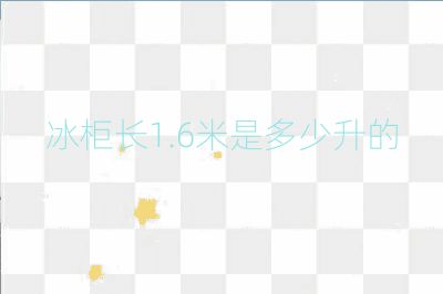 冰柜長1.6米是多少升的