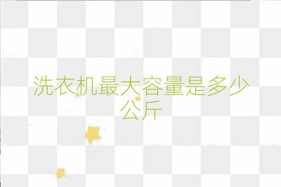 洗衣機最大容量是多少公斤