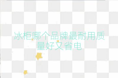 冰柜哪個品牌最耐用質量好又省電