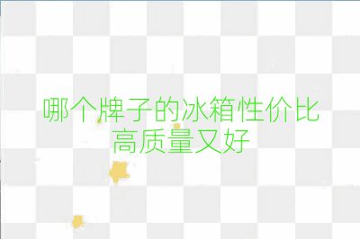 哪個牌子的冰箱性價比高質量又好