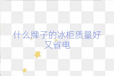 什么牌子的冰柜質量好又省電