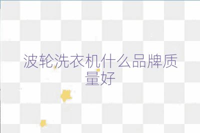 波輪洗衣機什么品牌質量好