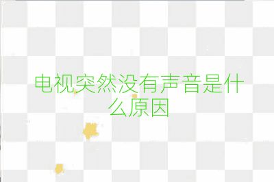 電視突然沒有聲音是什么原因