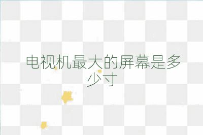 電視機最大的屏幕是多少寸