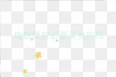 電飯煲有必要買貴的嗎