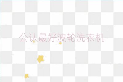公認(rèn)最好波輪洗衣機(jī)