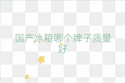 國產冰箱哪個牌子質量好