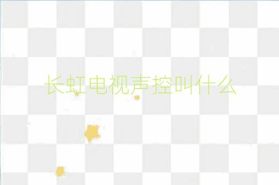 長(zhǎng)虹電視聲控叫什么