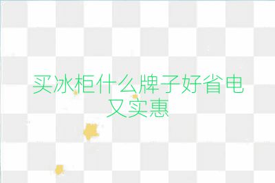 買冰柜什么牌子好省電又實(shí)惠