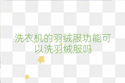 洗衣機的羽絨服功能可以洗羽絨服嗎